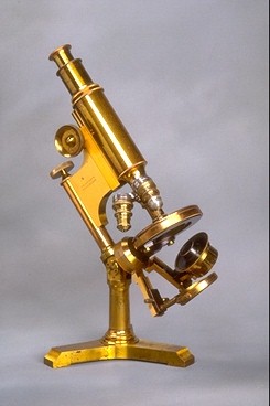 No lappuses "Mikroskopu galerijas" - Bausch & Lomb Optical Company 